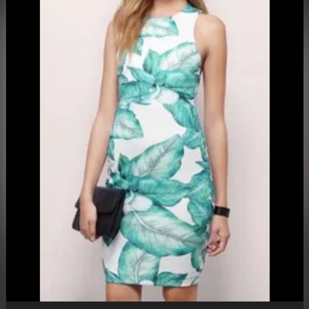 TOBI Sz M green tropical green leaves print / white sleeveless open back dress‎
